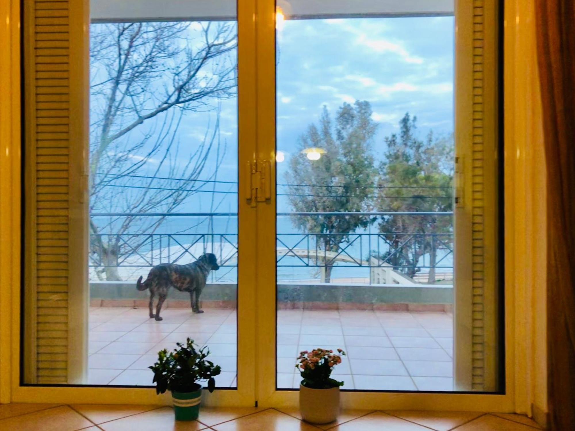 Villa Chloe'S Sunrise Beach House Athen Exterior foto